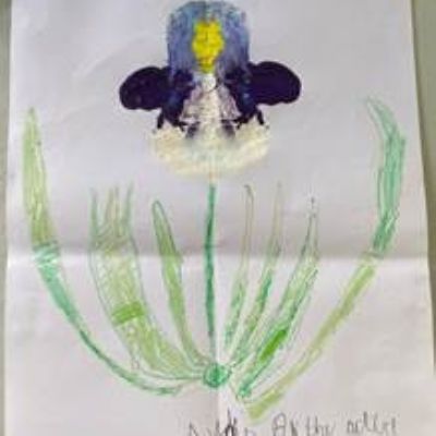 iris yr1